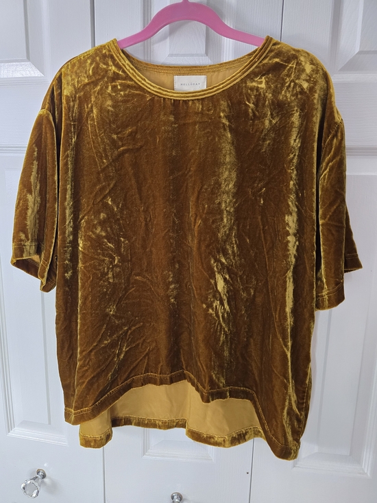 MELLODAY Tops - MELLODAY Velvet Top in Mustard Gold